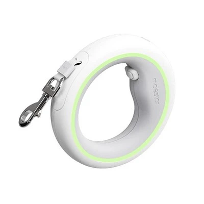 Leash Madraí Inghlactha Deaglán